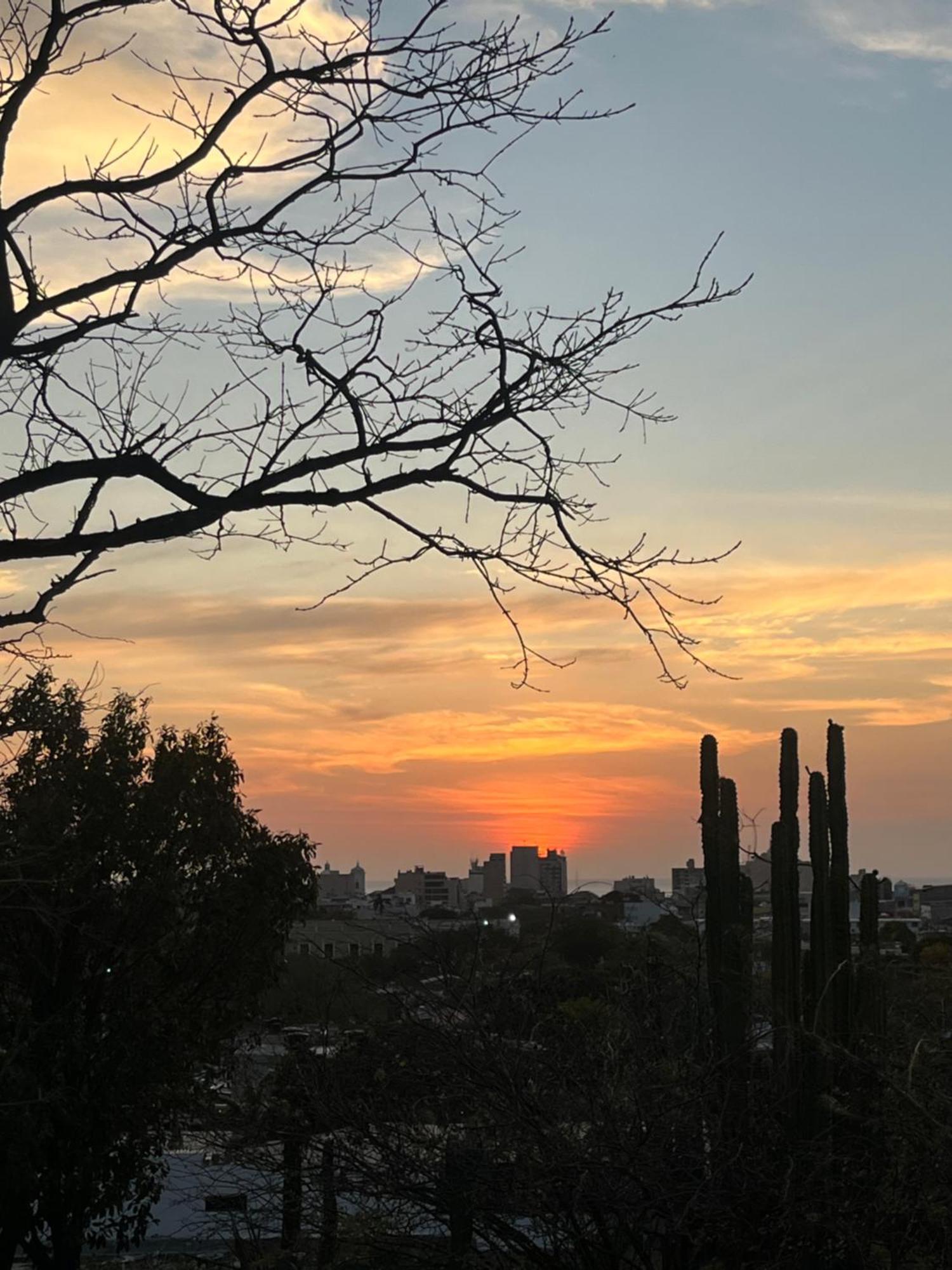 Jardin Etnobotanico Villa Ludovica サンタ・マルタ エクステリア 写真