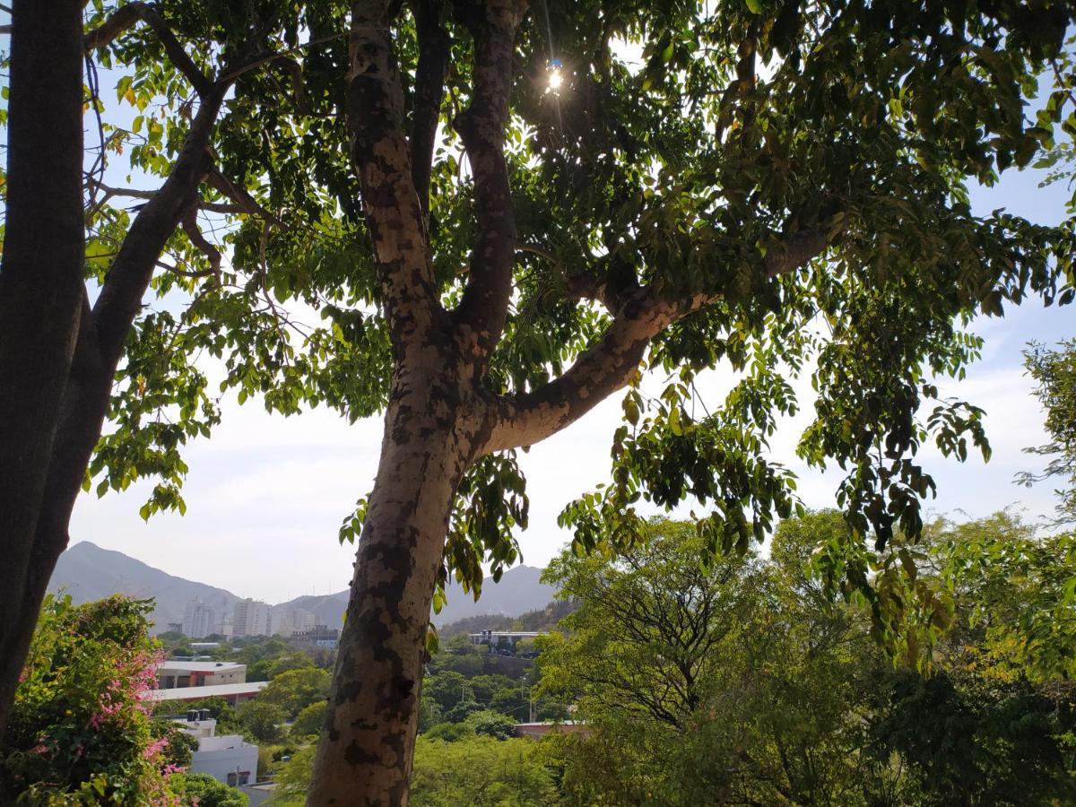 Jardin Etnobotanico Villa Ludovica サンタ・マルタ エクステリア 写真