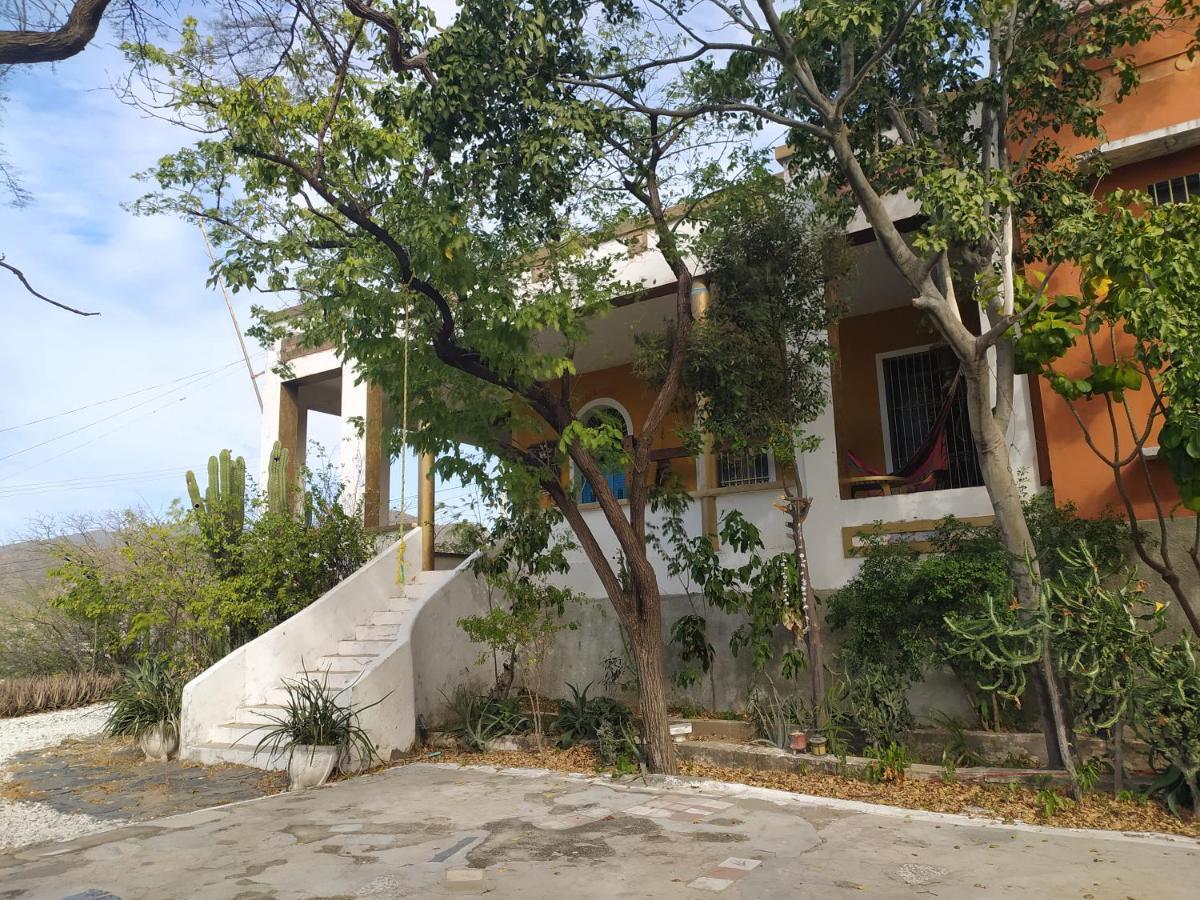 Jardin Etnobotanico Villa Ludovica サンタ・マルタ エクステリア 写真